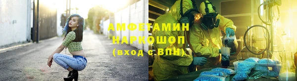 соль ск Новозыбков
