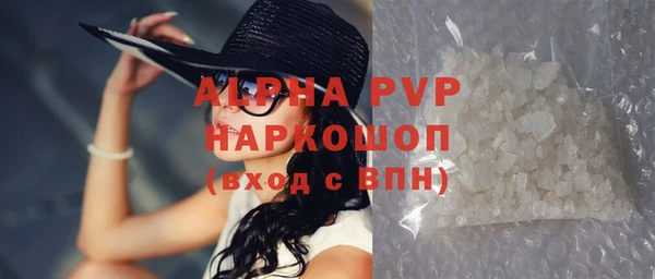 гашик Новодвинск