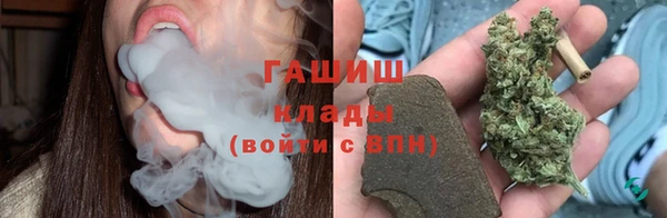 соль ск Новозыбков