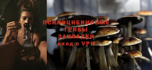 spice Няндома