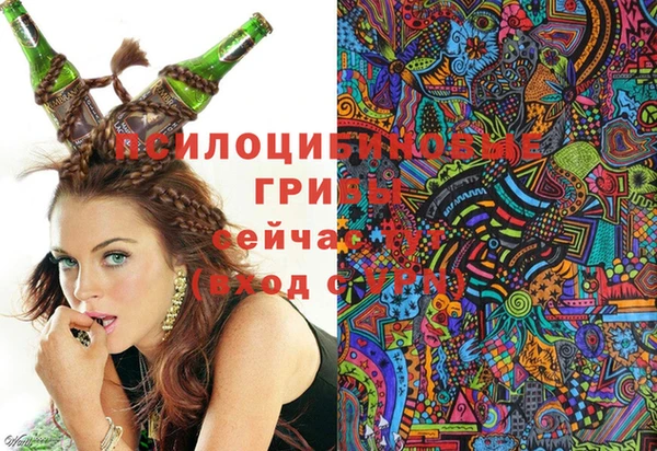 соль ск Новозыбков