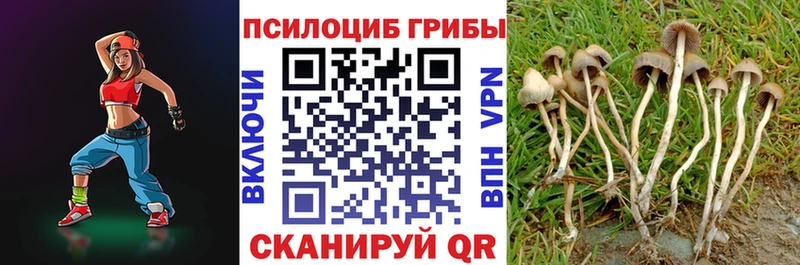 Галлюциногенные грибы GOLDEN TEACHER  цены   Калач 